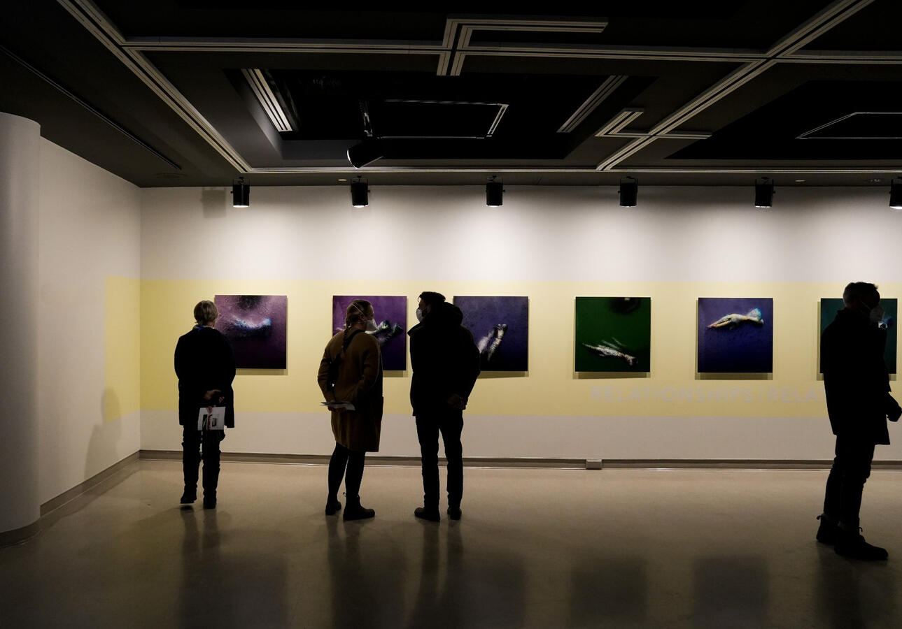 Untitled Untitled
